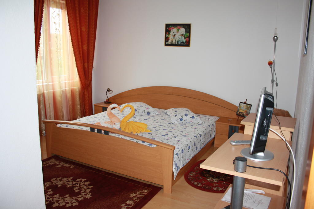 Pensiunea Claudiu Caransebeş Kamer foto